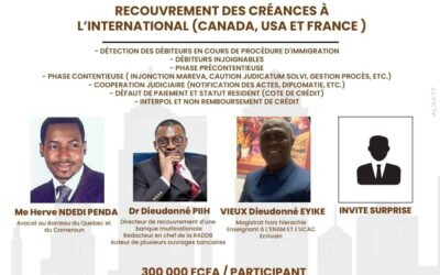 SEMINAIRE : RECOUVREMENT DES CREANCES A L’INTERNATIONAL ( CANADA, USA ET FRANCE )