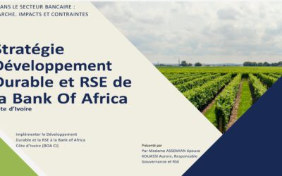 La RSE dans le secteur bancaire : cas BOA CI